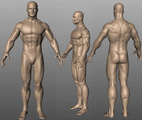 Super Anatomy Anatomical Study Mudbox 2006