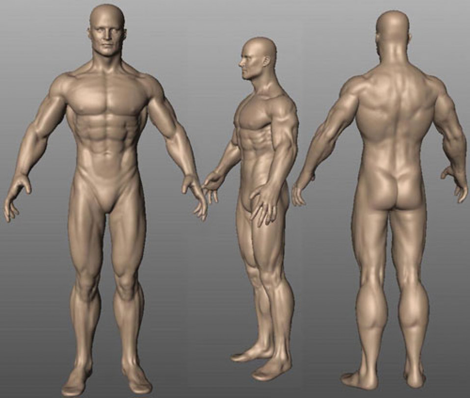 Super Anatomy Anatomical Study Mudbox 2006
